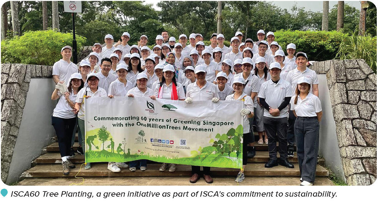 tree planting tree planting