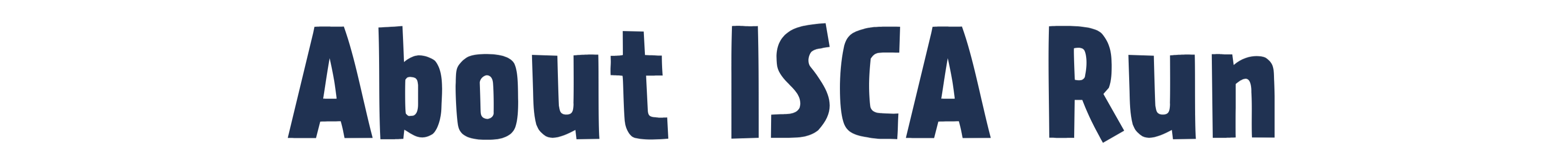 ISCA Run 2025 (2)