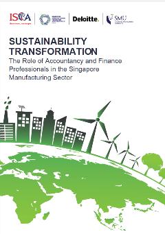 Sustainability - Jobs and Skills for the Accountancy Sector Cover