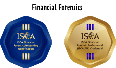 Financial Forensics Financial Forensics