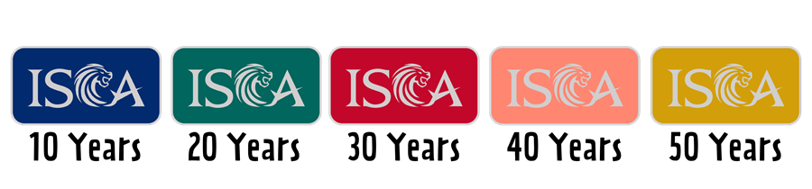 Milestone progress Milestone progress