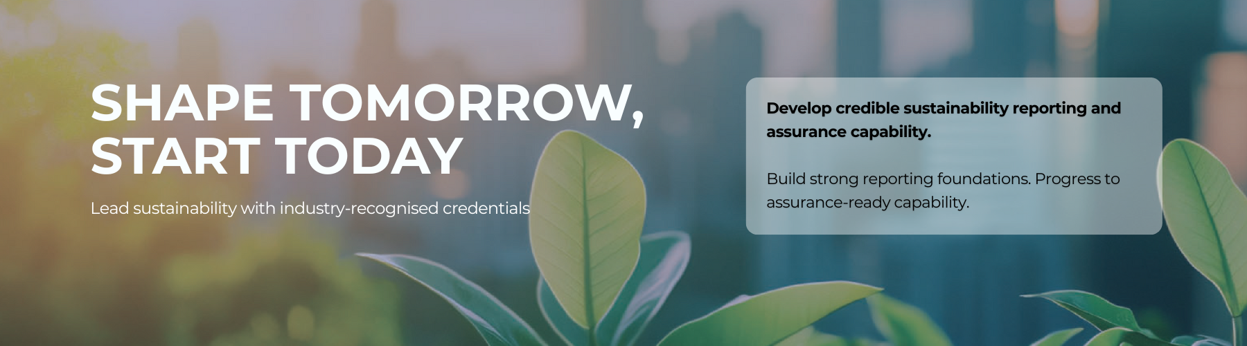 Academy Hero Banner for website 2