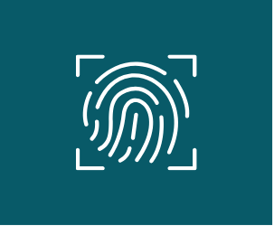 FFAQ Website Wireframe - Van (2)