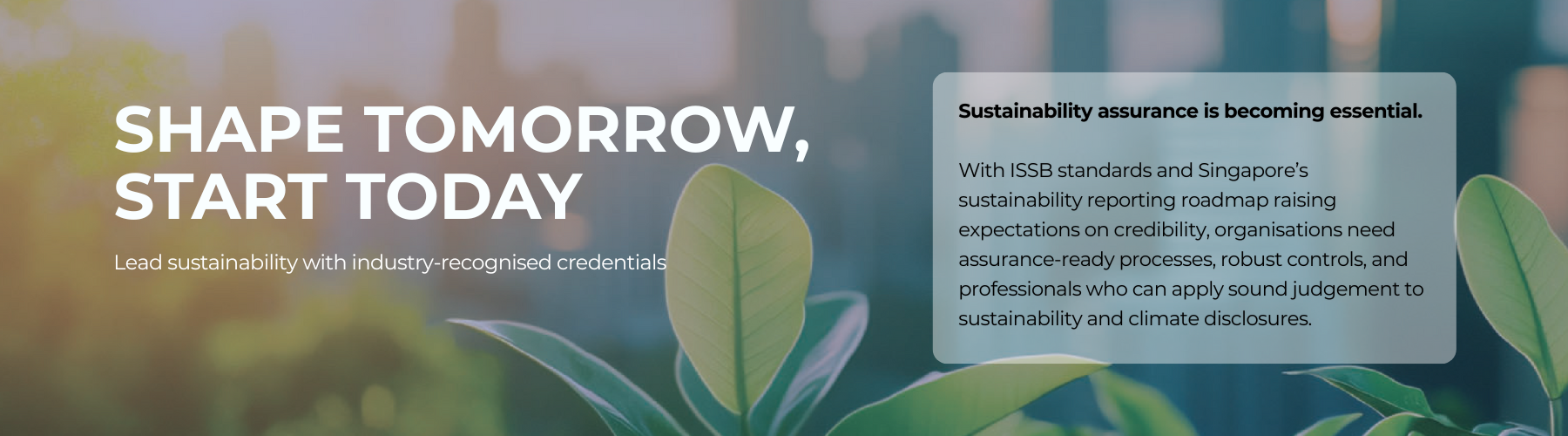 ISCA Sustainability Professional Certification 3